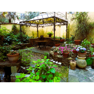 Icône de l'application